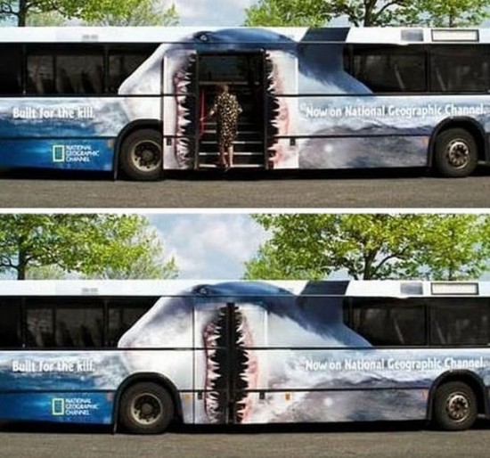 Nat Geo shark Nat Geo shark