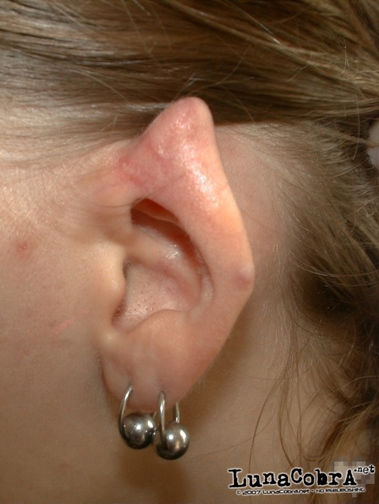Ear Pointing Ear Pointing