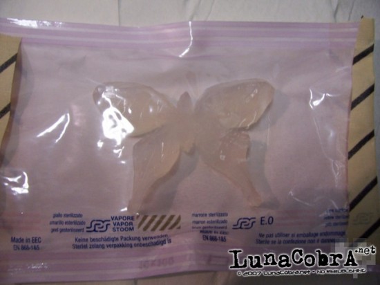 Silicone Implant Silicone Implant