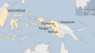 Indonesian air force plane crashes in Papua, killing 13: official