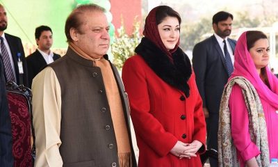 Panamagate: Maryam's signatures on Minerva documents faked, says counsel