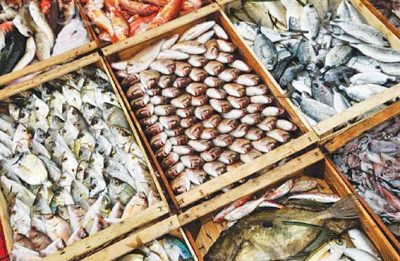 Seafood of $183.451 mln, meat $105.690 mln exported in 6 months