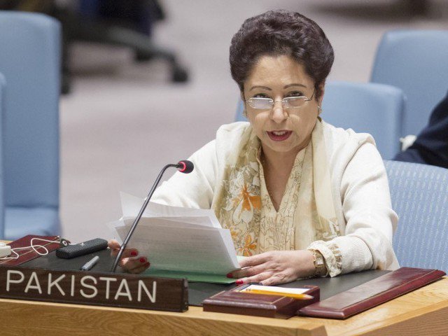 Maleeha Lodhi stresses that the country has sacrificed most in the war to combat international terrorism. PHOTO: FILE